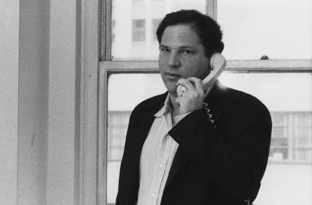 Weinstein : le protégé